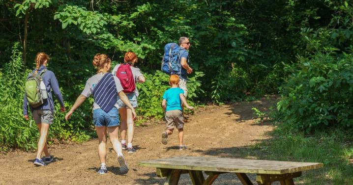 5 things to know about Northwest Indiana's busy beach season