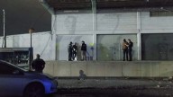 Clausuran crematorio de mascotas en bodegas de la colonia Robinson