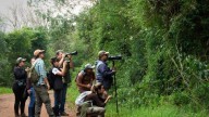 Misiones se consolida como destino para observación de aves y lanza su primer encuentro internacional