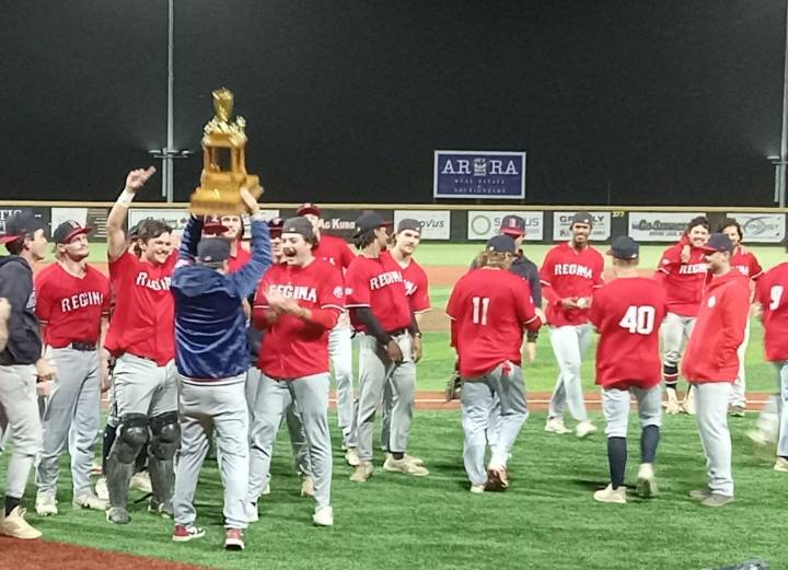 Sylvan Lake Gulls battle to the end but fall in WCBL Final