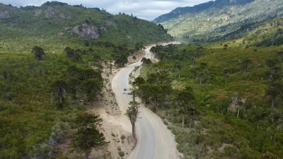 El asfalto para Moquehue ya está en marcha en la Ruta Provincial 11