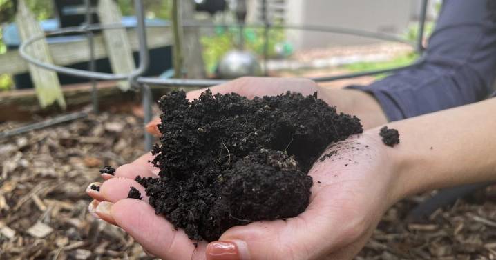 Gardening's hidden benefits: How digging in the dirt could bolster mental wellbeing