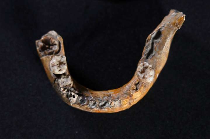Bones of ancient child suggest humans could have interbred with Neanderthals earlier than thought