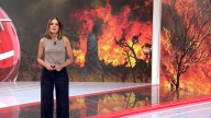 Noticias Cuatro | Edición noche, en vídeo (13/08/2025)