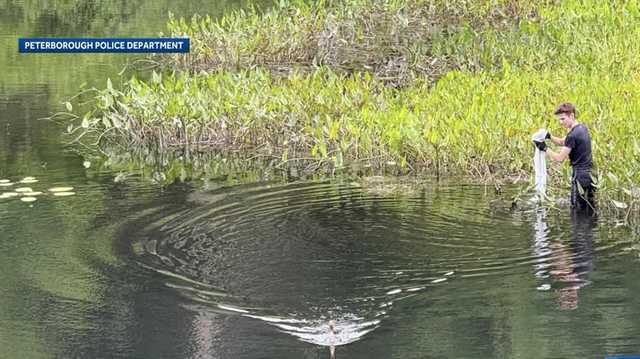 Peterborough detective rescues trapped bird at Edward MacDowell Dam