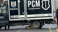 Murió atropellado el día de su cumpleaños y su perro se quedó a su lado: El conductor se fugó