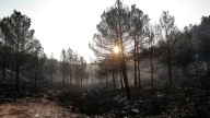 Recapitulación del estado de los siete incendios de Valencia tras 24 horas sin descanso