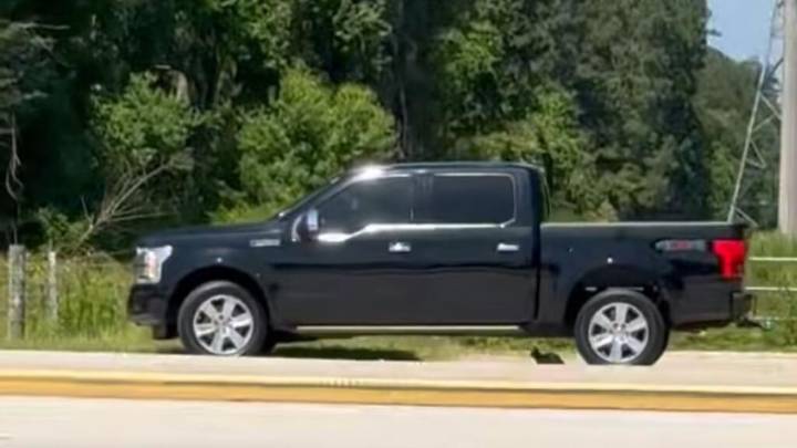 Difunden video de conductora abandonando a un gatito en carretera de Houston y luego atropellándolo