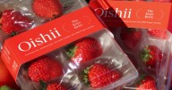Oishii Farm Founder Talks Benefits of Vertical Farming, Using AI