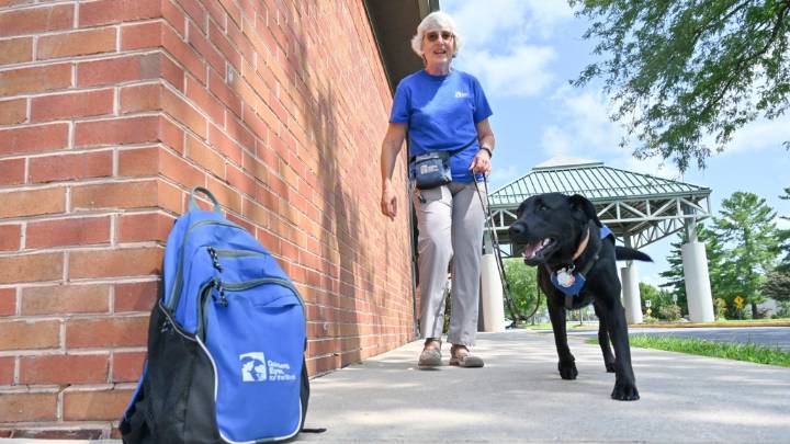 Love puppies? Guiding Eyes is looking for people to raise them, with no experience required