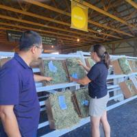 Wet Spring Doesn’t Dampen Ag Progress Days Hay Show Entries
