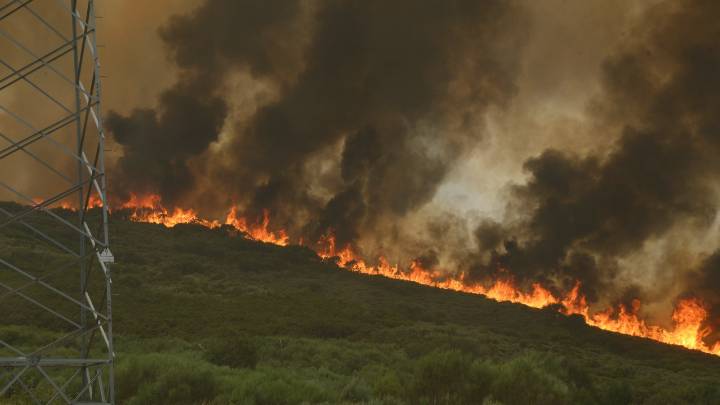Primer muerto en Portugal por los incendios forestales que azotan a toda la península