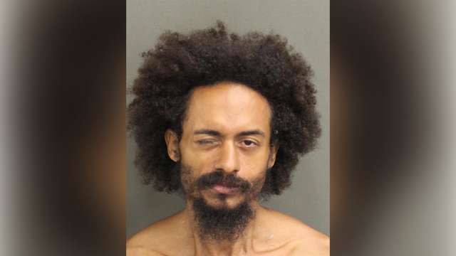 Arrest made after young Mute swan found dead at Lake Eola Park, officials say