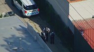 Boy, 15, killed in shooting near Chicago high school