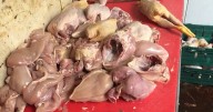 Lamb testicles meant for pet food caught being sold for human consumption in South London
