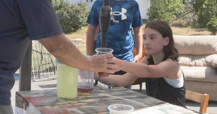 Dover-Foxcroft family hosts yard sale and lemonade stand for a cause