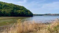 Girl, 11, dies at Wacker Quay beauty spot at Antony near Torpoint following incident in water