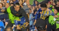 ¡Siente tu liga! Policía y aficionado se agarran a golpes