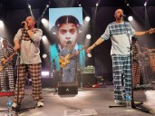 La crónica de una gringa en un show de Bersuit Vergarabat: una nueva mirada sobre la argentinidad al palo