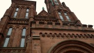 Jennings says many critics of Smithsonian review praised destruction of statues