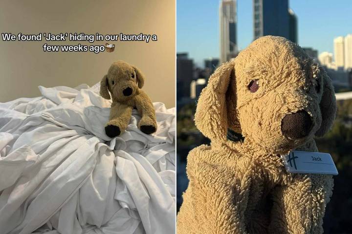 Holiday Inn Makes Sweet Attempt to Reunite Lost Stuffed Animal with Owner
