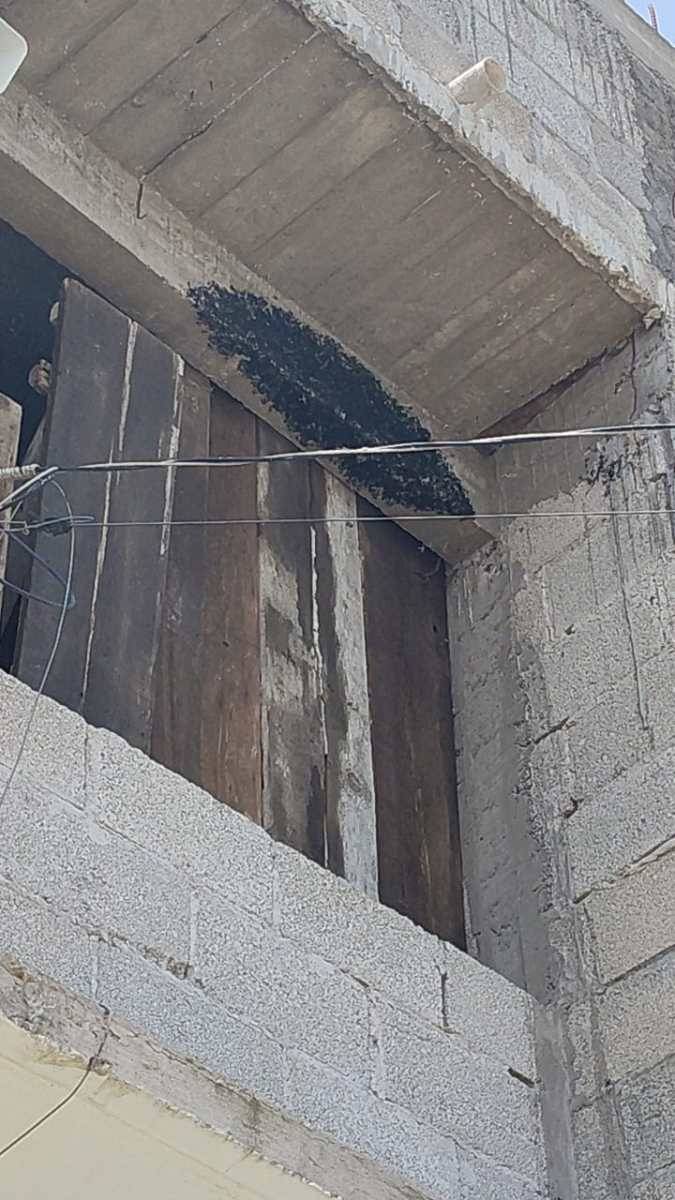 AVISPERO ATEMORIZA A VECINOS DE LOMAS DE SAN SEBASTIÁN