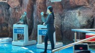 Acuario y Comuna buscan arreglo por deuda millonaria