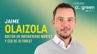 Incendios: la restauración depende de la biodiversidad invisible del suelo