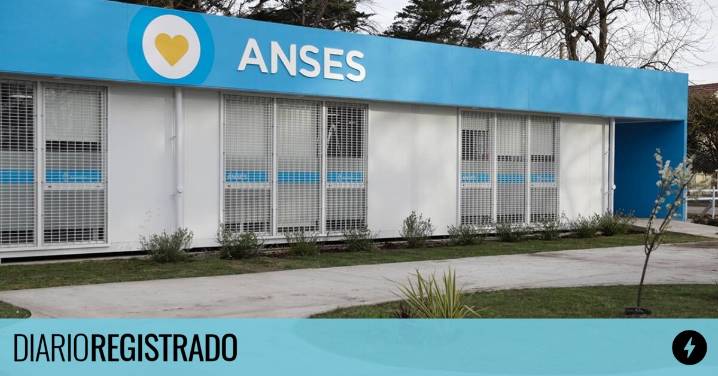 Este es el dato clave que debés obtener en ANSES para hacer los trámites en agosto 2025