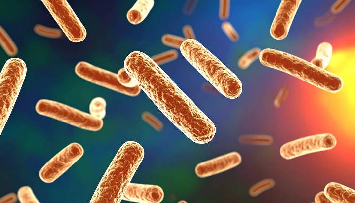 2 Deaths, 58 People in NYC Diagnosed With Legionnaires’ Disease