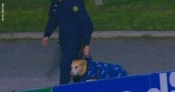 Un perro interrumpe partido de fútbol en Uruguay y termina "detenido" por seguridad.