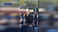 Boy saved from monorail tracks at Hersheypark, video shows