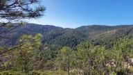 Violencia frena actividades turísticas en el Cerro Mohinora, el más alto de Chihuahua