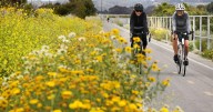 The best second-date spots in L.A., backed by relationship experts