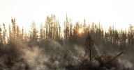 Northwest Territories wildfire: Evacuation ordered