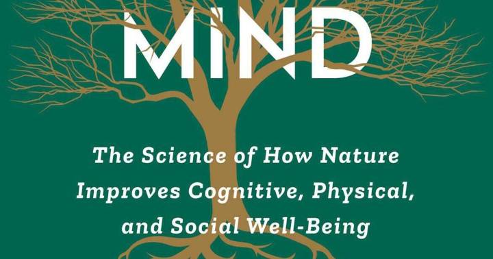 The easiest way to restore your attention span could be just outside your door