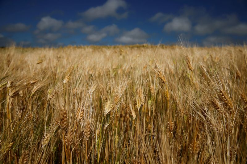 European farmers facing higher costs after EU tariffs on Russian fertiliser imports