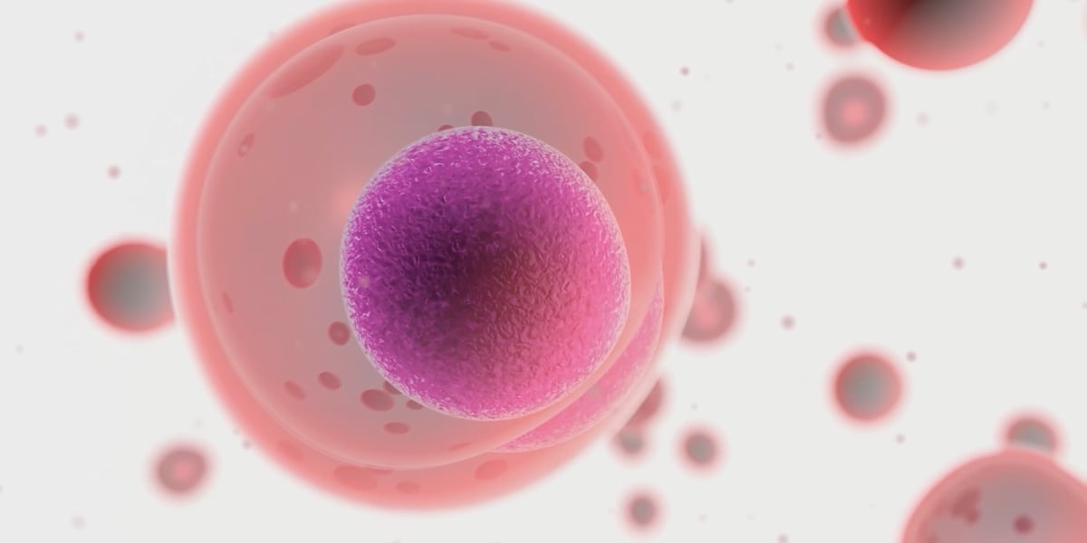 House bill looks to ban mRNA vaccines