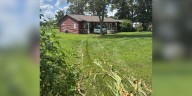 Van travels off road, through cornfield & crashes into front porch of Williamson Co. home