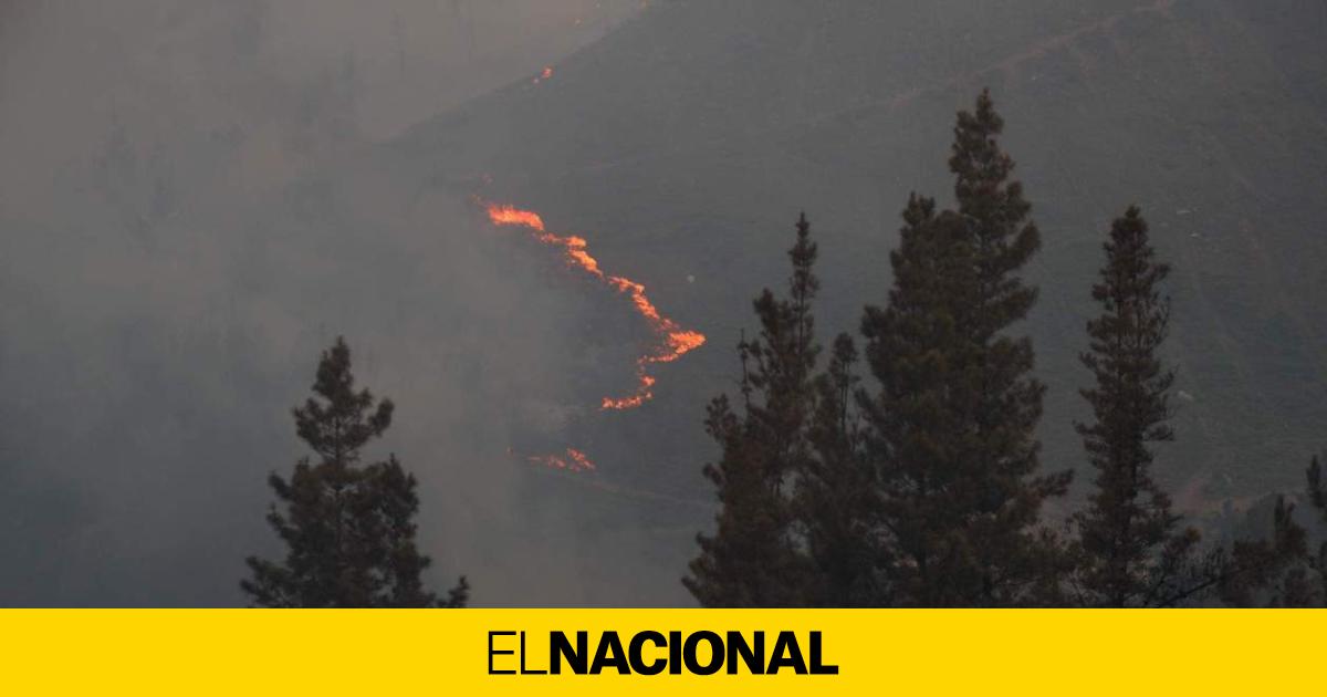 La situación por los incendios no mejora ni en Castilla y León ni en Galicia: nuevos focos y desalojos