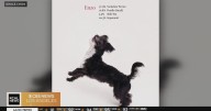 Grace Chon’s new book honors the beauty of mixed-breed dogs with real DNA results and heartfelt po