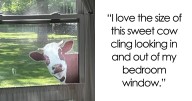 28 Totally Outlandish Things That Actually Make Perfect, Glorious Sense