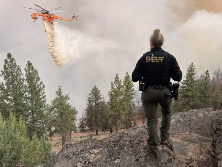 'Starting to take this personally': 'The Office' actor flees home, again, amid Oregon wildfire