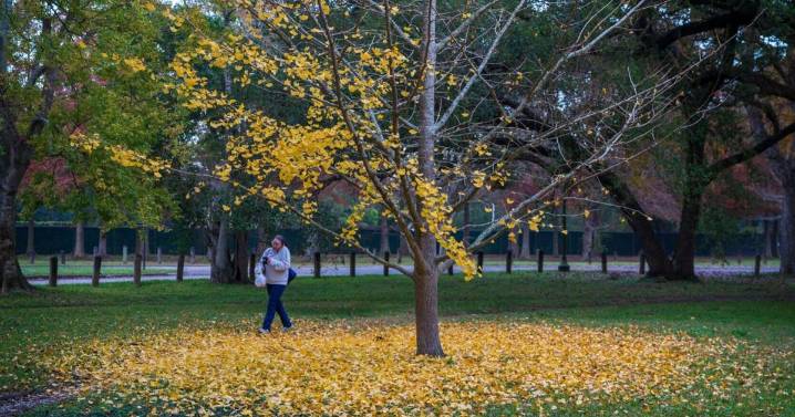 Will Louisiana fall be cool? What NOAA, Farmer's Almanac say