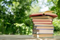 Six thrillers for late-summer reading, from suburban paranoia to historical mystery