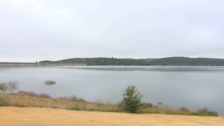 La CHG trata de erradicar la especie invasora Pseudorasbora parva, que representa el 95% de la población del embalse de Alcollarín