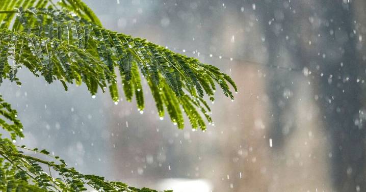 ¿A qué hora lloverá hoy en CDMX? Protección Civil emite alerta por tormentas y posible caída de granizo este viernes