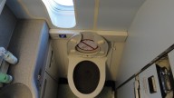 Why Pooping on Planes Might Actually Be a Good Thing