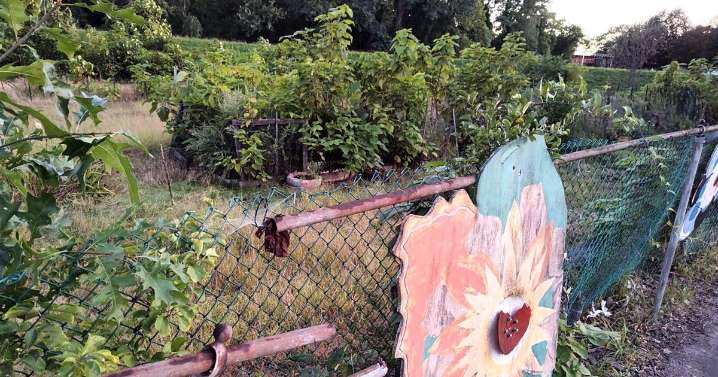 Woonsocket seeks to revive community garden with YMCA land deal