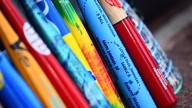 Suspended Little Leaguer’s bat sells for $10,000 at auction